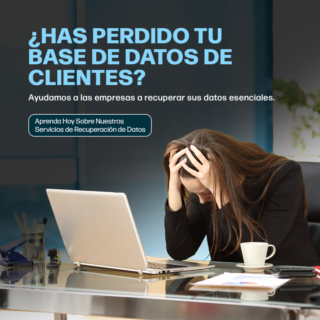 businessdata_es